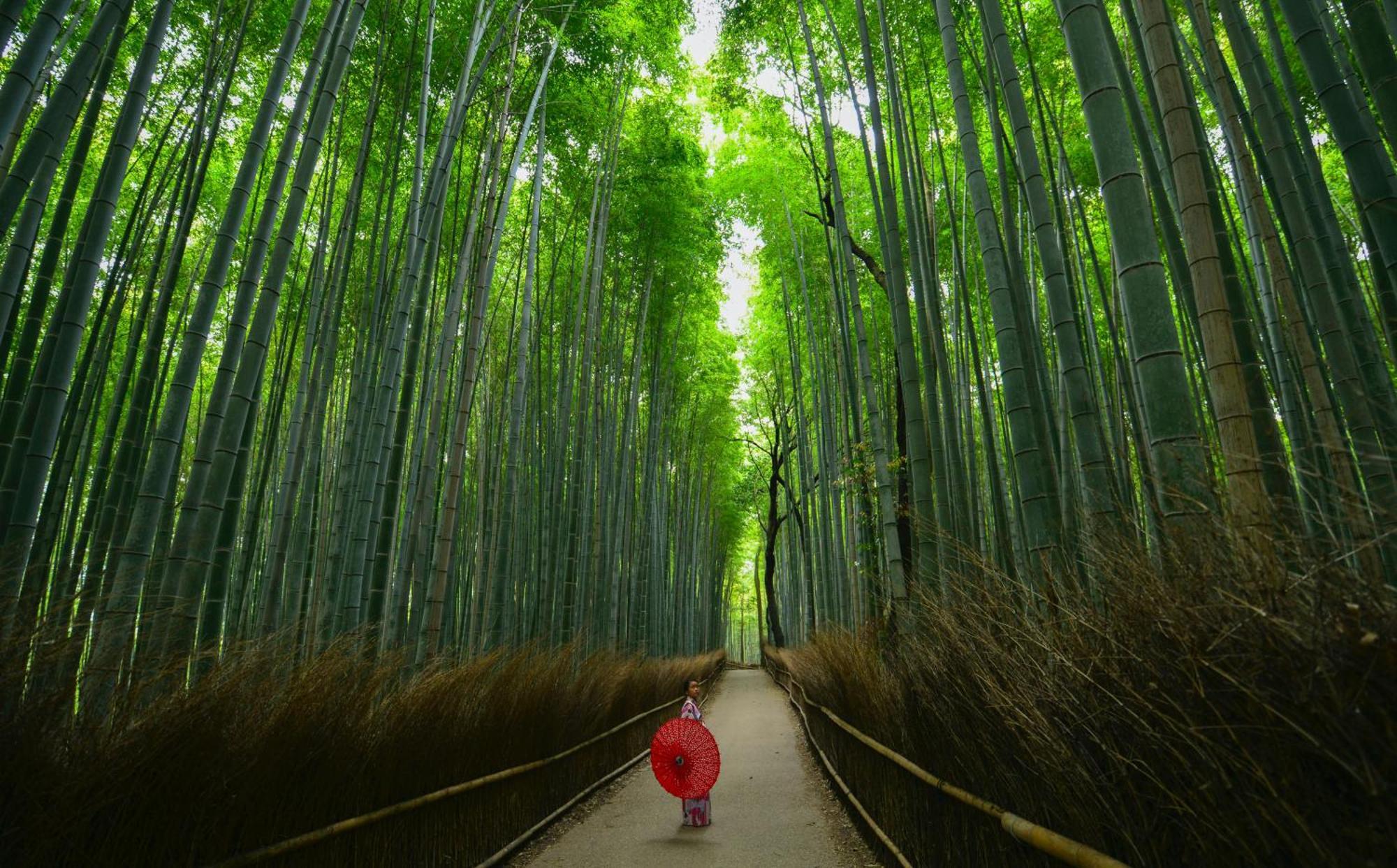 Tokyu Stay Kyoto Sakaiza Shijo Kawaramachi Zewnętrze zdjęcie