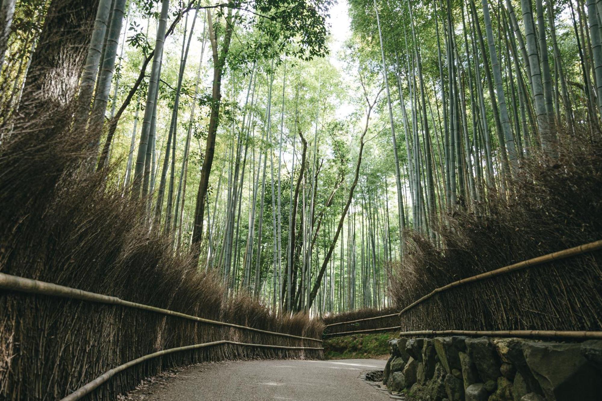 Tokyu Stay Kyoto Sakaiza Shijo Kawaramachi Zewnętrze zdjęcie